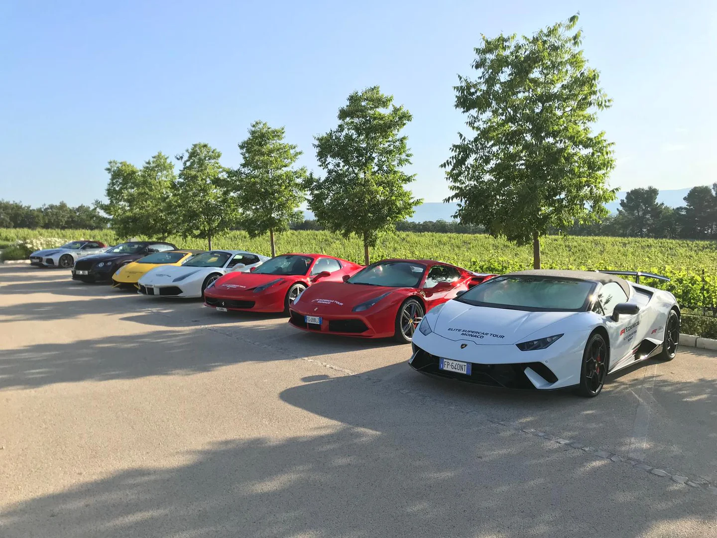 Supercars parked in a row beside vineyards