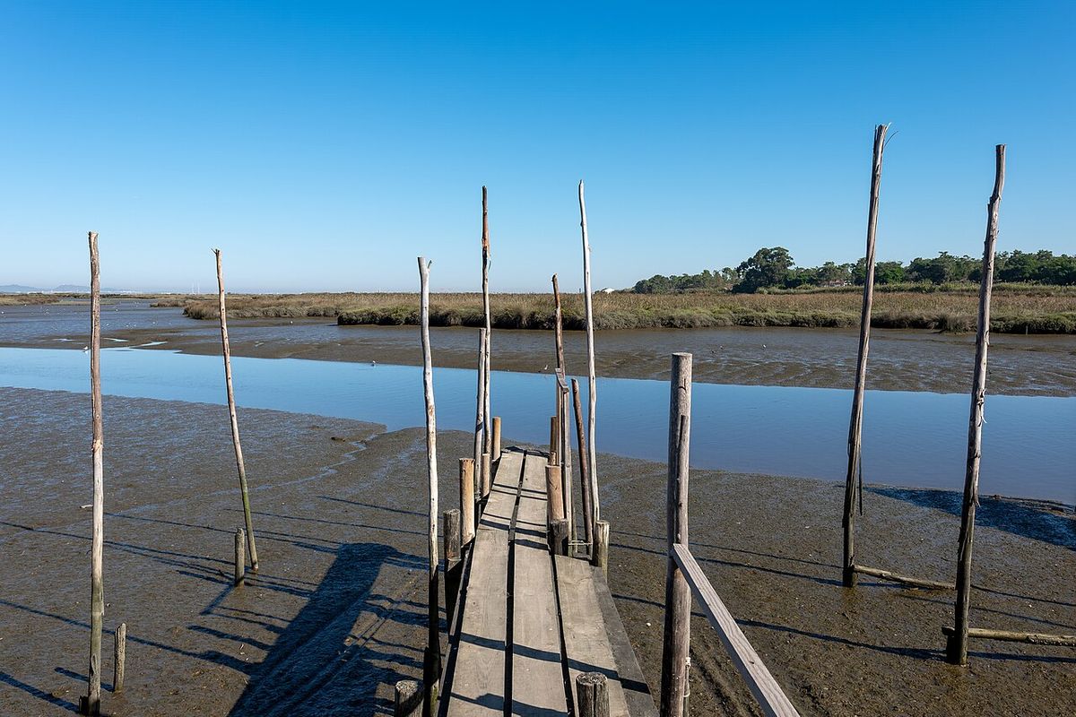 A narrow wooden jetty on stilts running out across the Sado estuary mudflats near Comporta