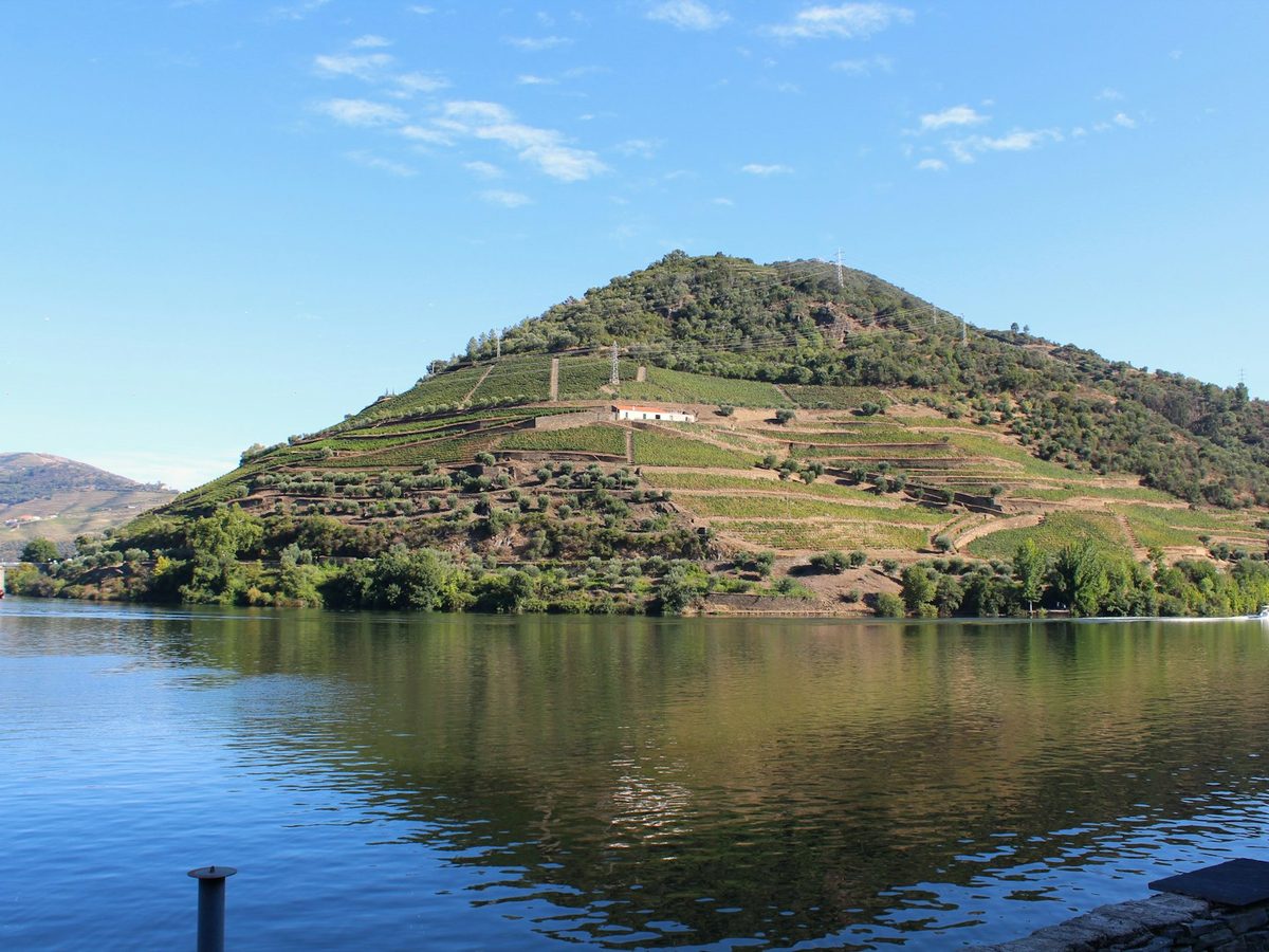 Terraced vineyards above the Douro at Pinhão