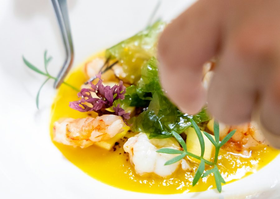 Chef plating a fine-dining dish